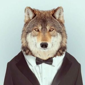 Meet your Posher, Brad